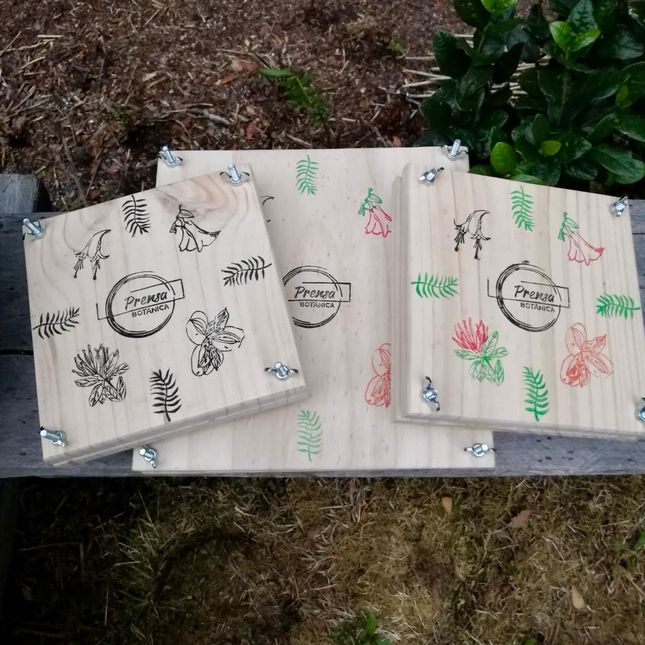 Taller de Arte Botánico en Puerto Varas: Preserva la Magia de la Naturaleza (presencial)